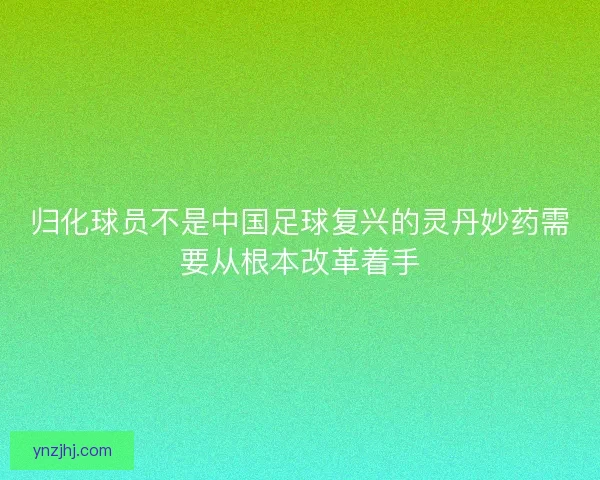 归化球员不是中国足球复兴的灵丹妙药需要从根本改革着手